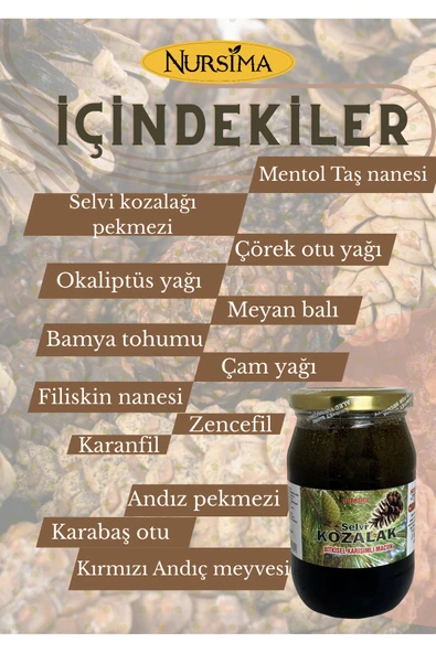 Nursima Kozalak Macunu Doğal Organik Bitkisel Karışım 420 gr - 5