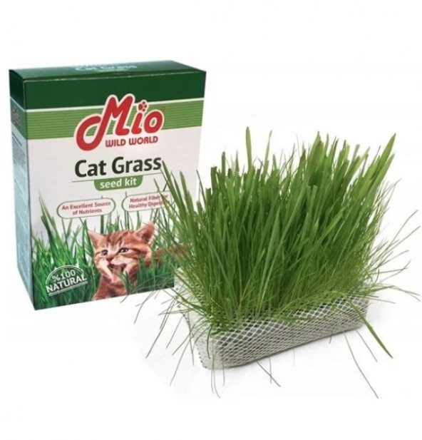 Mio Cat Grass Kedi Çimi - 1