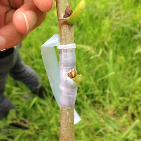 250 GR BLUE GUARD AŞI MACUNU VE AŞI BANDI 2Lİ PAKET HER AŞI TİPİNE UYUMLU SIVI AŞI MACUNU 50 METRE SİLİKONLU AŞI BANDI - 3