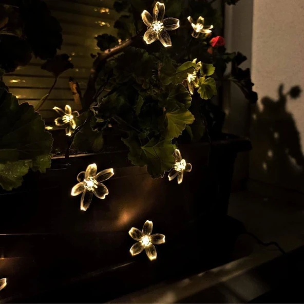 Solar 5m 50 Led Papatya Gün Işığı 8 Fonksiyonlu - 2