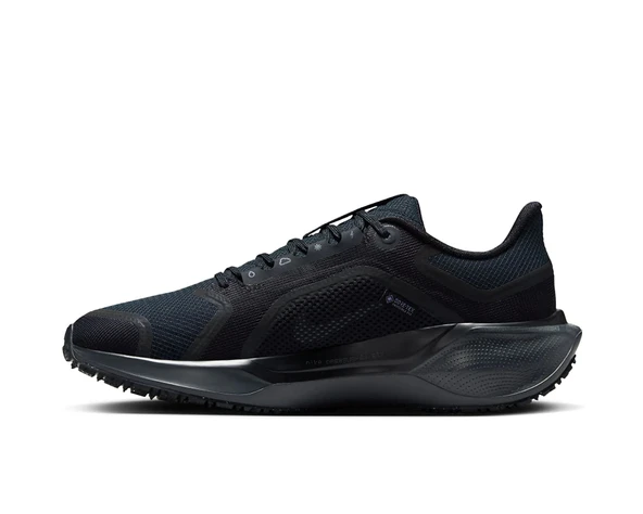 Nike Koşu Ayakkabısı Pegasus 41 Gore-Tex FQ1357-001 - 2