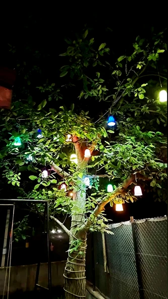 Çarşıbu Alaçatı Ağaç Feneri 10'lu Set Dekoratif Dış Mekan Aydınlatma Armatürü Cafe Restoran Düğün Salonu Otel Organizasyon İçin Rustik Bahçe Peyzaj Işıklandırma Sarkıt Avize - 6