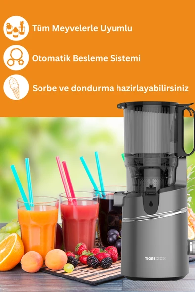 TIGRECOOK Slow Juicer Yavaş Sıkım Katı Meyve Sıkacağı Sorbe ve dondurma - 2