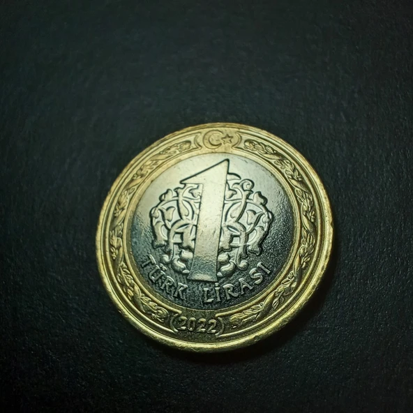 Escoines Koleksiyon 399636861c27c60d17 2022 1Türk lirası ÇİL eski madeni para - 4