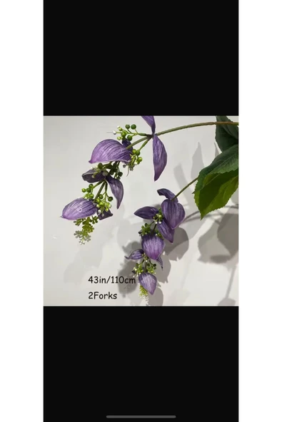 1 adet 2 dallı Mor Medine gülü çiçeği dekor saksı sarkan saksı çiçeği ürün görseli