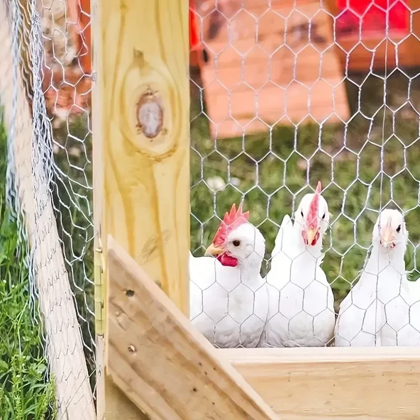 Kümes Teli 0.60 mm x 1 M X 20 M Örgülü - 7