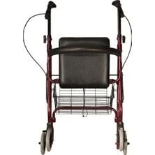 P580 Ekonomik Rollatör ürün görseli 1