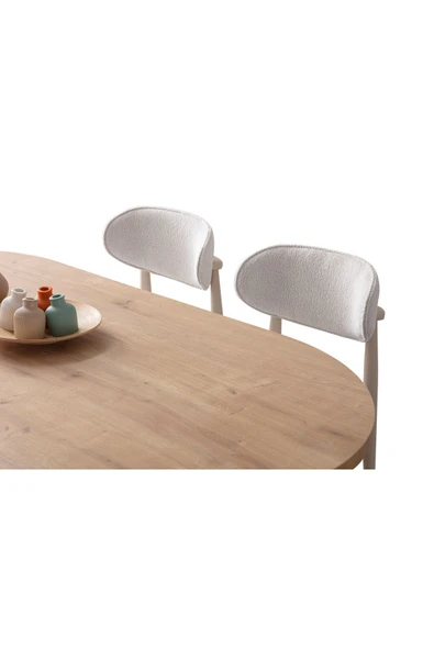 EDSY HOME Safir Meşe Oval Masa ( Ayaklar Plastik ) - 6