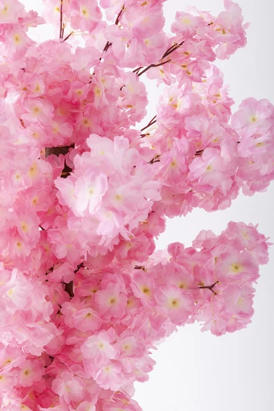 Güleç Yapay Çiçek Yapay Bahar Dalı Ağacı 150 Cm 30 Dal Açık Pembe - 2