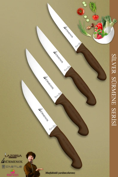 Sürmene Silver Serisi Kahve Sap Mutfak Bıçak Seti Et Ekmek Sebze Meyve Kesme Bıçağı 4 Lü (Srm-030)