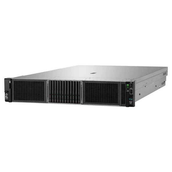 HPE ProLiant DL380 Gen11 P71674-425A002 S-4510 64GB 4x960SSD 2x1000W 2U Rack Sunucu - 4