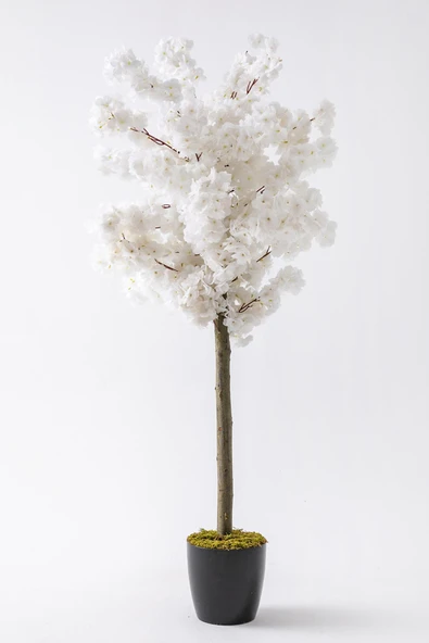 Güleç Yapay Çiçek Yapay Bahar Dalı Ağacı 150 Cm 30 Dal Beyaz