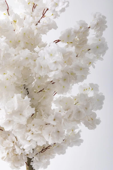 Güleç Yapay Çiçek Yapay Bahar Dalı Ağacı 150 Cm 30 Dal Beyaz - 2