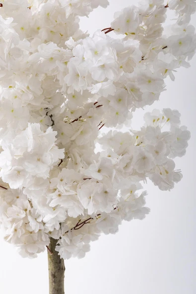 Güleç Yapay Çiçek Yapay Bahar Dalı Ağacı 150 Cm 30 Dal Beyaz - 3