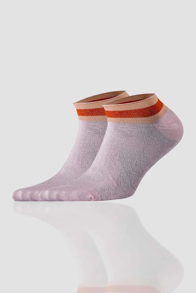 Aytuğ Kadın Modal Patik Çorap 5 Çift Özel Kutulu 4 Renk 33241 - 5