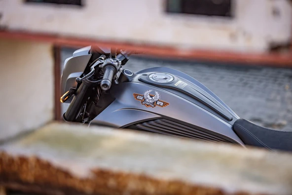 REGAL RAPTOR - DY 250 CRUISER MOTOSİKLET - 3