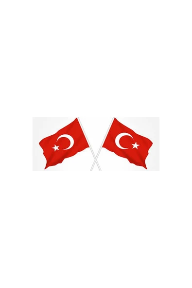 Türk Bayrağı 30x45 Cm Sopalı Özel Alpaka Kumaş Bayrak (10 Adet) - 2