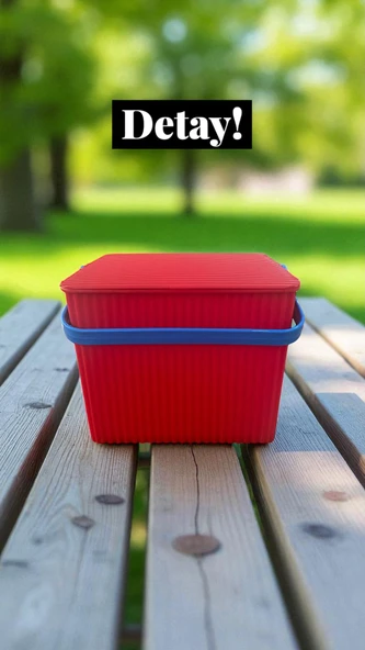 Rainbow 2'li Kırmızı Mavi Kare Kova Piknik Sepeti Meyve Kovası - 3