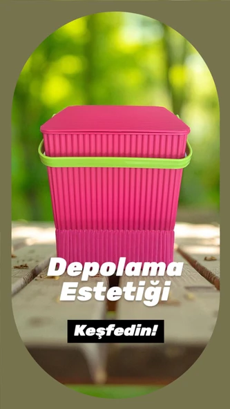 Rainbow 2'li Mavi Pembe Kare Kova Piknik Sepeti Meyve Kovası - 4