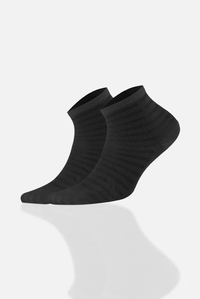 Aytuğ Kadın Modal 5 Çift Özel Kutulu Kısa Konç 33009 - 5