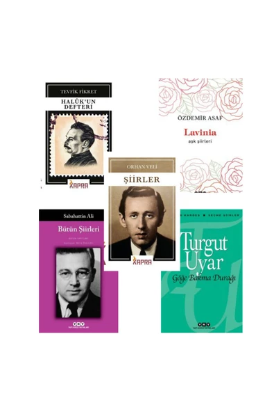Sabahattin Ali - Özdemir Asaf - Turgut Uyar - Orhan Veli - Tevfik Fikret Şiirleri 5 Kitap Set