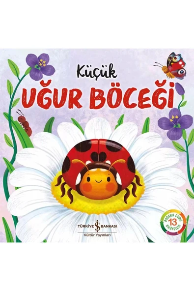 Küçük Uğur Böceği