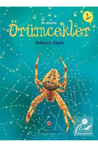 İlk Okuma - Örümcekler
