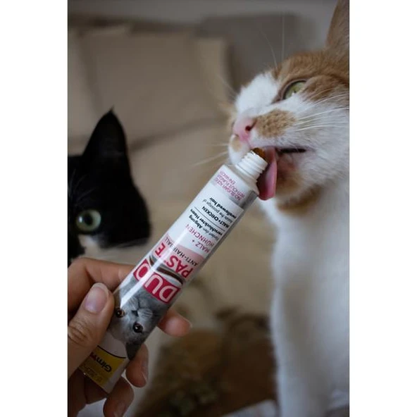 Gimcat Duo Paste Tavuklu Multi-Vitamin Kedi Macunu 50gr - 4