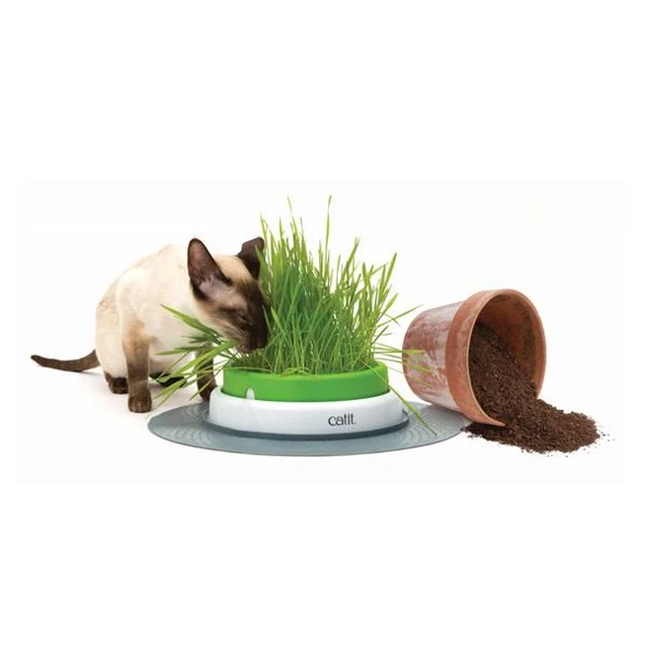 Catit Senses 2.0 Grass Planter - 3