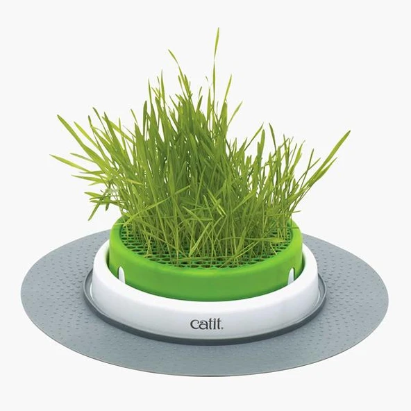 Catit Senses 2.0 Grass Planter - 4