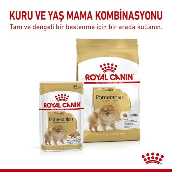 Royal Canin Adult Pomeranian Yetişkin Pouch Maması 85gr - 6