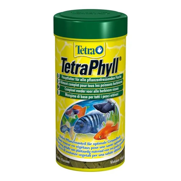 Tetra Phyll Bitkisel Pul Yem 100ml