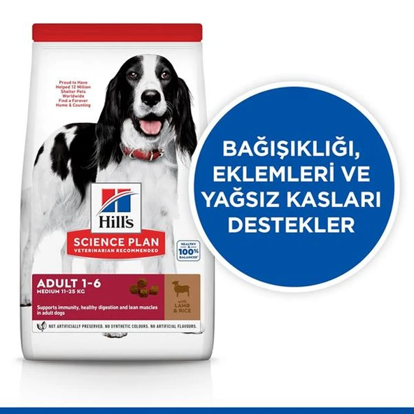 Hills Medium Adult Kuzu Etli Yetişkin Köpek Maması 12+2Kg Bonus Paket - 3