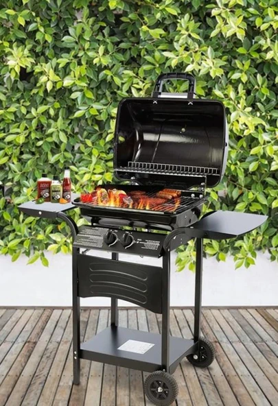 Kiwi Izgaralı Barbekü KG-5881 - 3