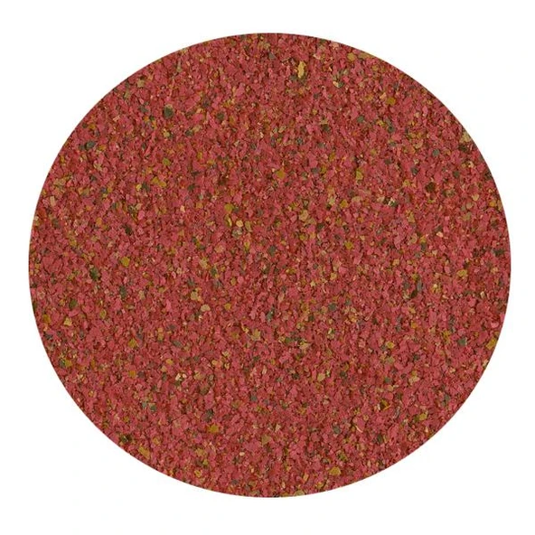 Tetra Guppy Lepistes Balık Yemi 100ml - 2