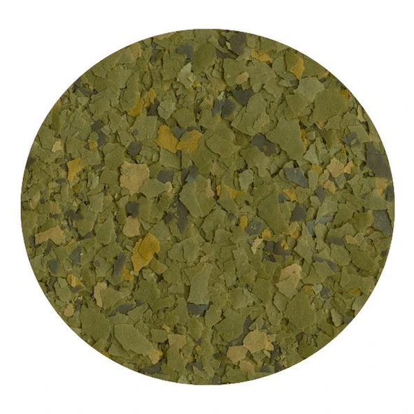 Tetra Phyll Bitkisel Pul Yem 100ml - 2