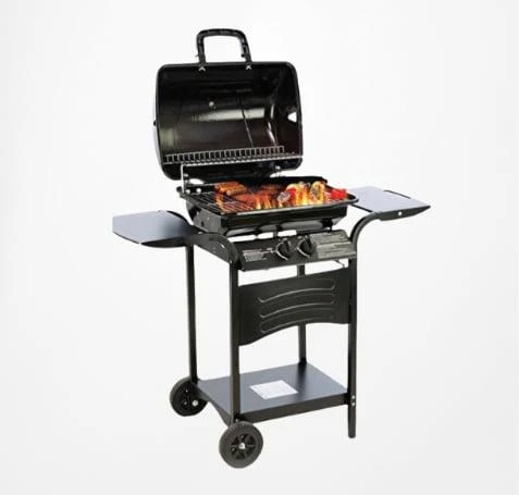 Kiwi Izgaralı Barbekü KG-5881