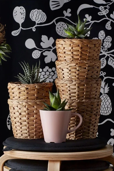 IKEA Frıdfull Saksı, Su Sümbülü, 12 Cm Bej Plastik 12 Cm - 2