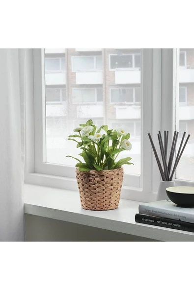 IKEA Hasır Saksı Çap: 12 Cm Su Sümbülü Ev Dekorasyon Bitki-çiçek Saksısı Kahverengi