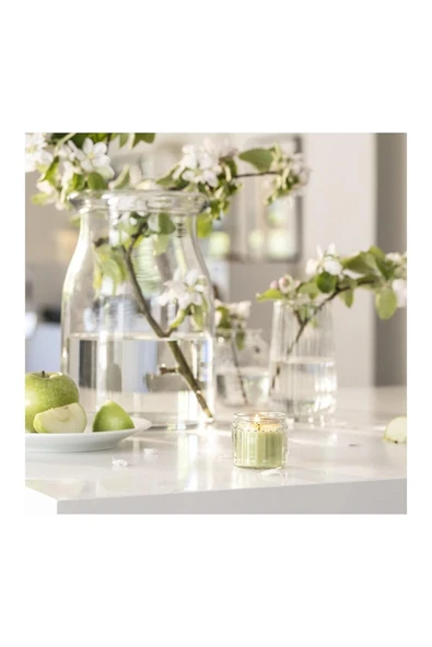 IKEA Lövskogslund Bardakta Kokulu Mum 12 Saat Elma 30594151 - 5