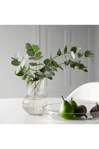 IKEA Dekoratif Cam Vazo Yükseklik: 17 Cm Ikea Çiçek Bitki Vazosu Çap: 12 Cm