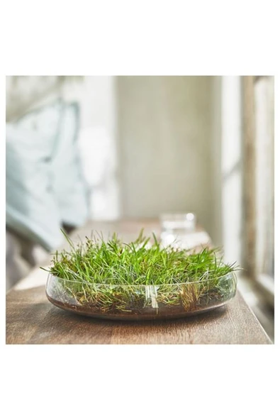 IKEA Bardakta kokulu mum, açık yeşil, 20 saat, çimen - 2