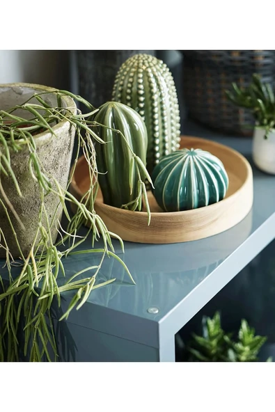 IKEA Dekoratif Aksesuar Kaktüs Seti 3 Parça Stoneware 18 cm - 6