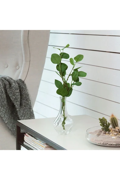 IKEA Şeffaf Cam Vazo Yükseklik: 17 cm İkea Çiçek Vazosu Bitki Vazosu - 4