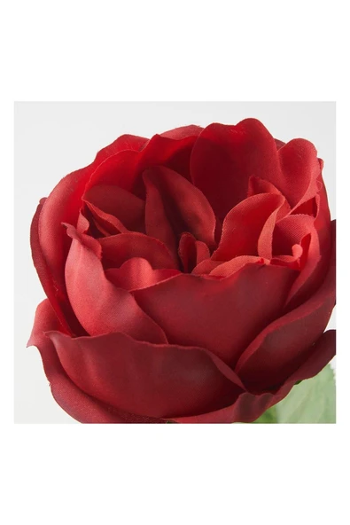 IKEA Smycka Yapay Çiçek Gül Kırmızı 52 Cm 40571795 - 4