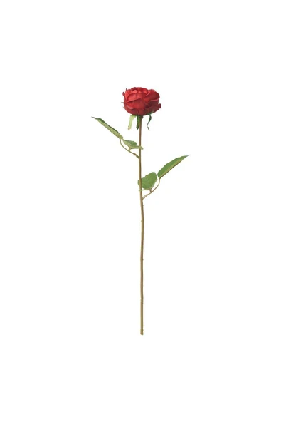 IKEA Smycka Yapay Çiçek Gül Kırmızı 52 Cm 40571795