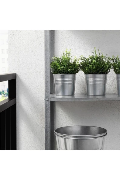 IKEA Fejka Arapsaçı Çiçeği 9 Cm 00532777 - 3