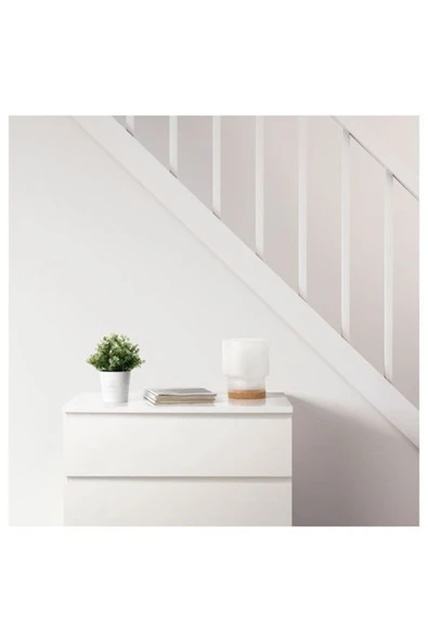 IKEA FEJKA yapay bitki, 9 cm - 3