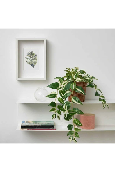 IKEA Yapay Bitki Çiçek Yeşil Sarkan Telgraf Çiçeği 60 Cm - 2