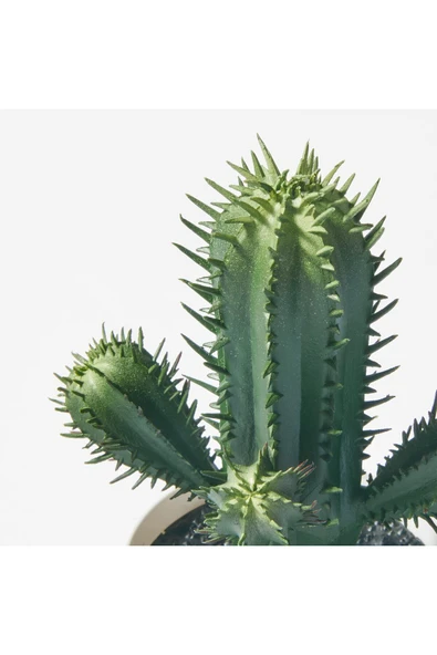 IKEA FEJKA Kaktüs 14 cm Mini Saksılı Yapay Kaktüs Bitki Çiçek - 4